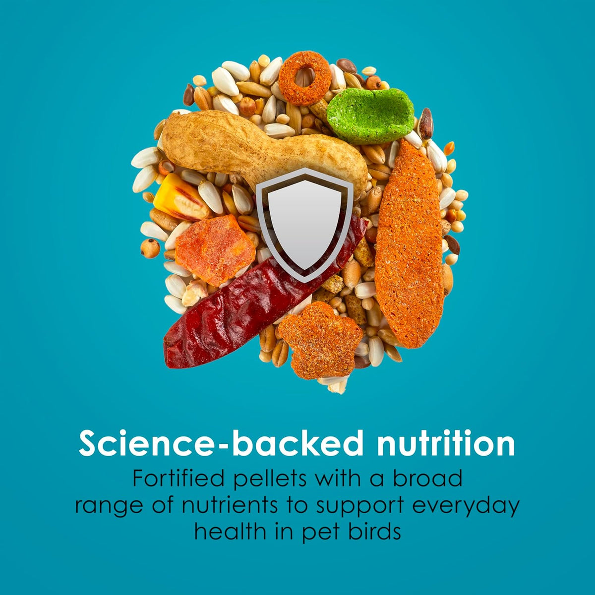Medium bird enjoying Kaytee Safflower Nourish and Protect food