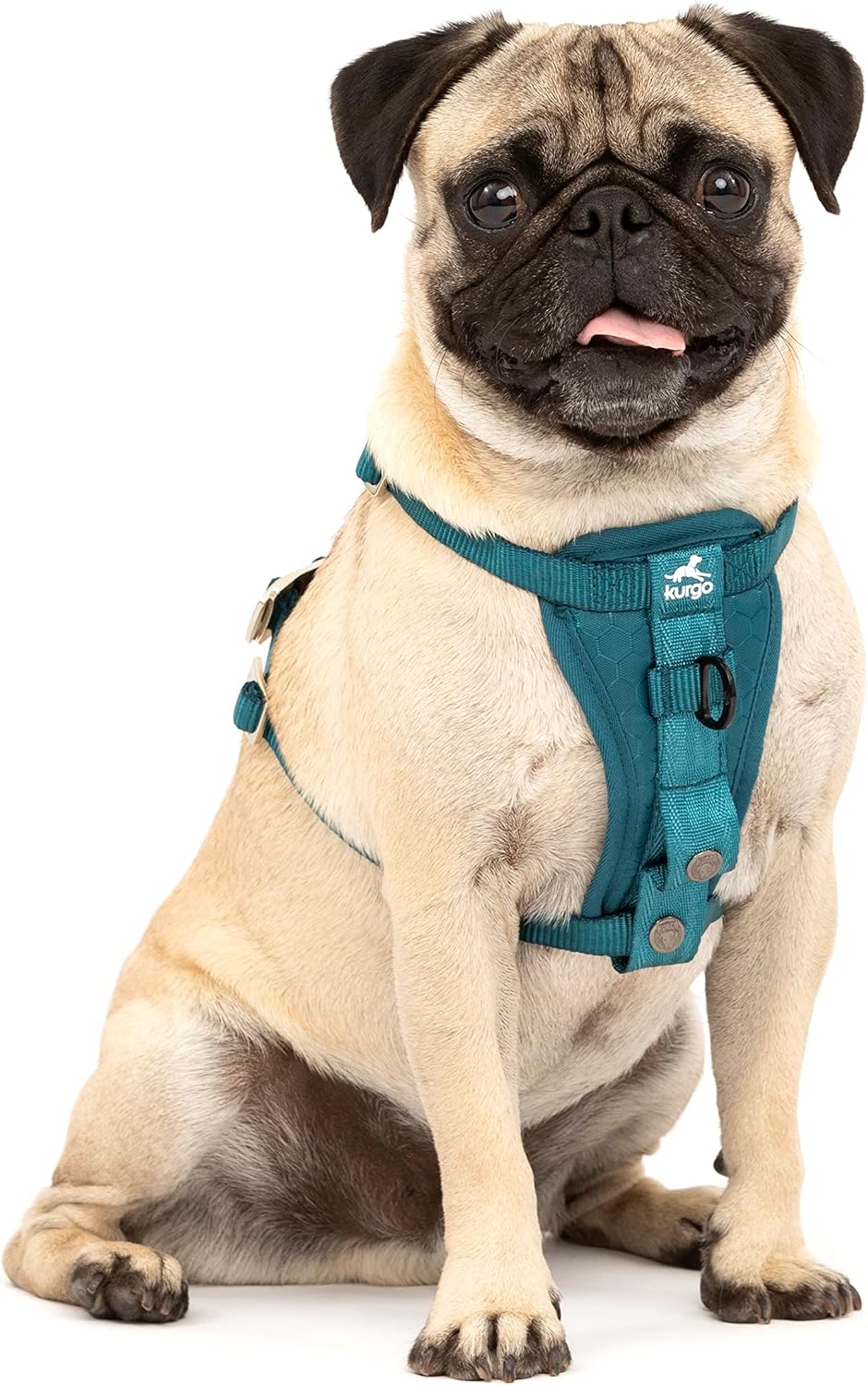 Kurgo Enhanced Strength Tru-Fit Dog Car Harness - Pet Travel Safety Harness - Crash Test Certified Fit - Five Point Adjustment - Secure Buckle - Padded Chest - Black - Medium - Image 12