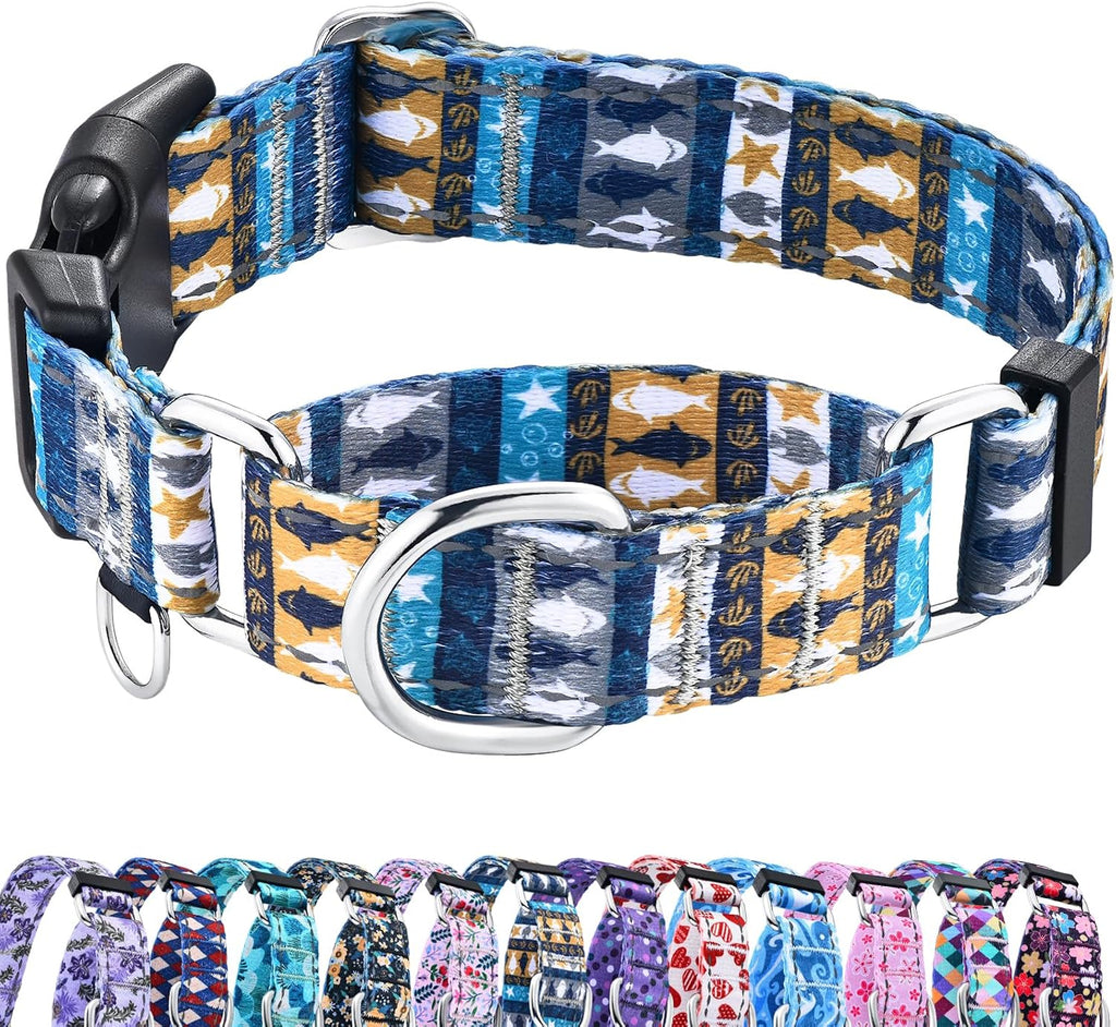 Fidohug premium imported training collar packaging and texture presentation