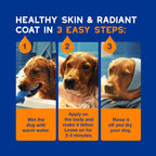 Douxo ultra safe dog shampoo 16 fluid ounces next to grooming brush