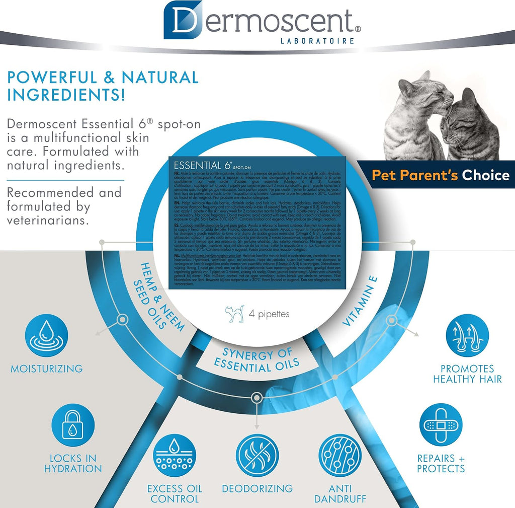 Bayer Dermoscent pet care box displayed with application guide