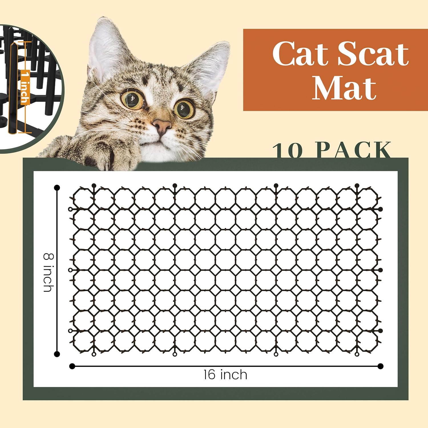 Plastic spike mat deterrent for cats and dogs on garden soil