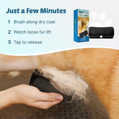 Before and after comparison of loose fur removed using the Rhykin GroomPro professional deshedding brush.
