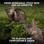 Homeopathic ear mite treatment for cats showing pill size.