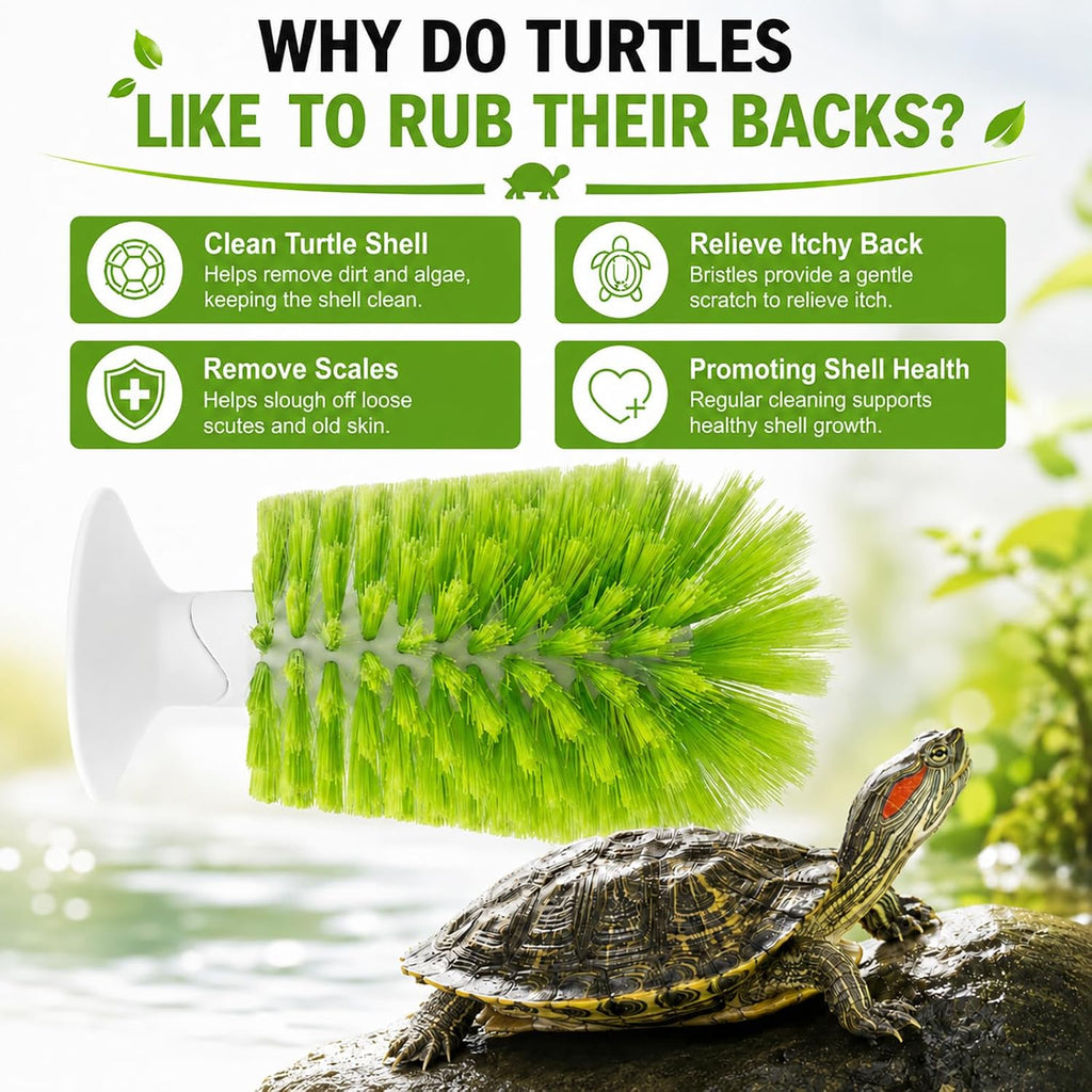 High quality ABS and nylon bristles on turtle tank accessory close up