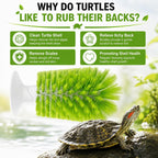 High quality ABS and nylon bristles on turtle tank accessory close up