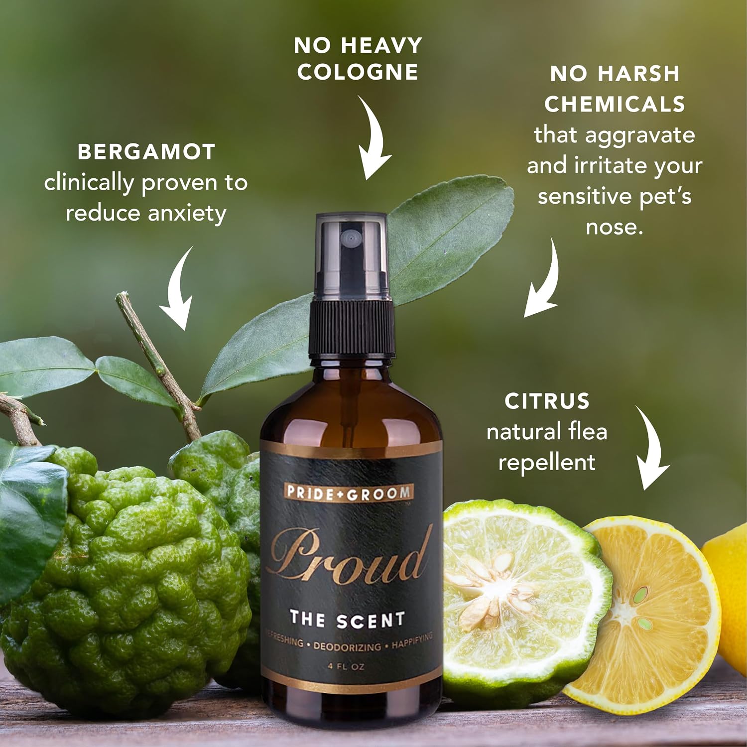 Back view of Pride and Groom Proud spray showing ingredients
