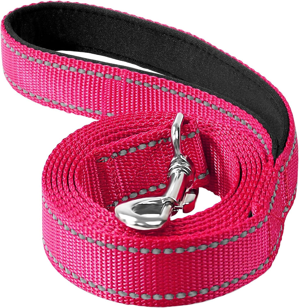 Reflective Dog Leash 6ft Soft Padded Handle Nylon Lead for Small & Medium Dogs, Durable Walking Training Leash for Night Safety (Turquoise,3/4Inch Wide) - Image 15