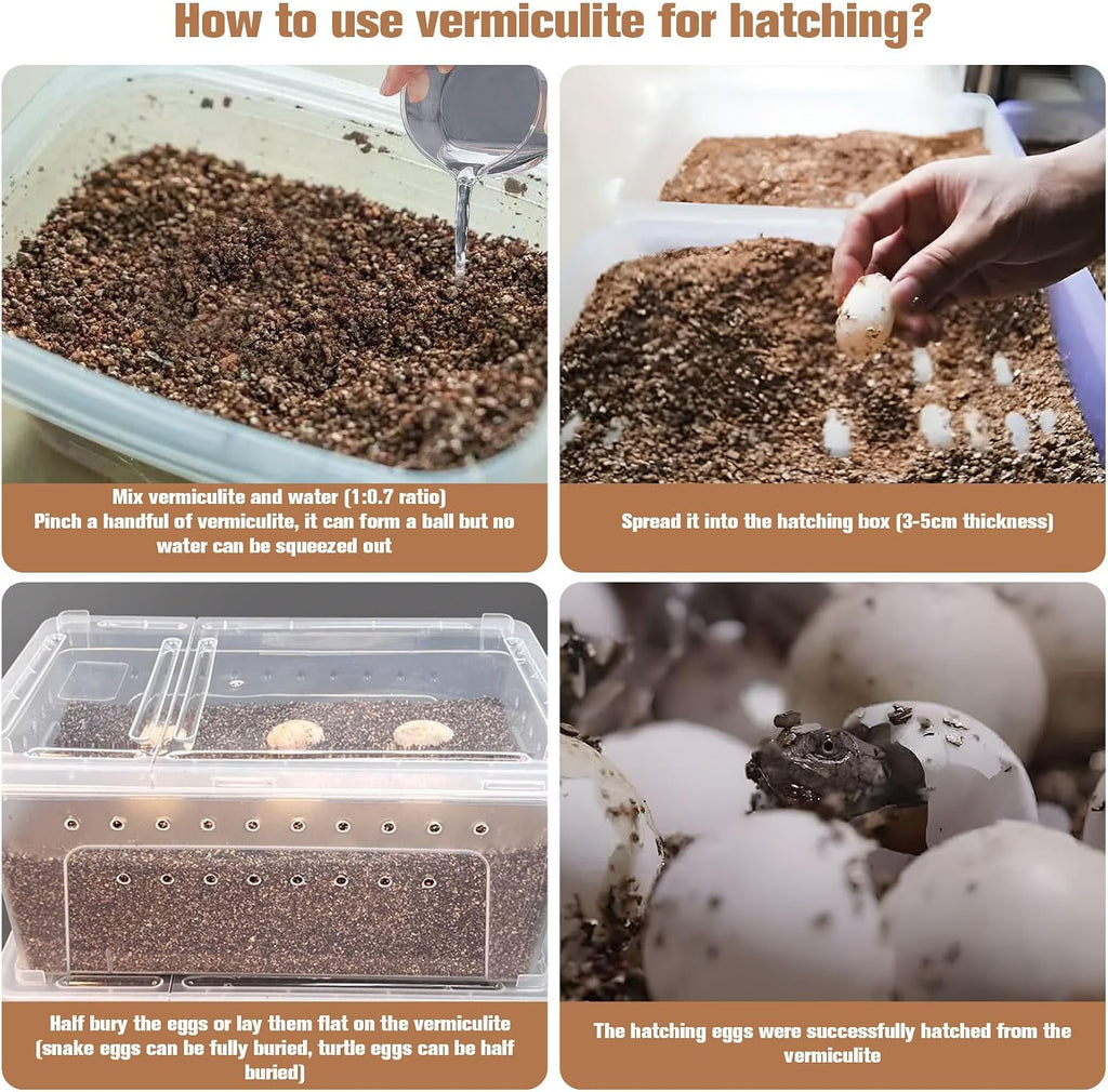 MAQIHAN vermiculite terrarium bedding pour demonstration