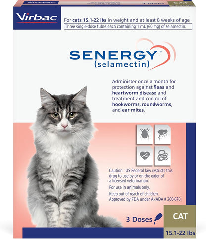 Senergy 3 month supply topical treatment for cats