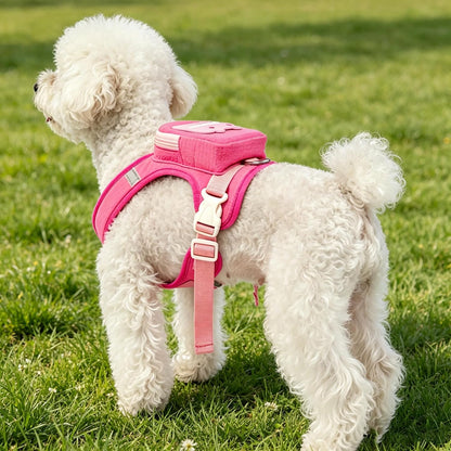 Rear view of dog wearing pink harness backpack showing adjustable buckles