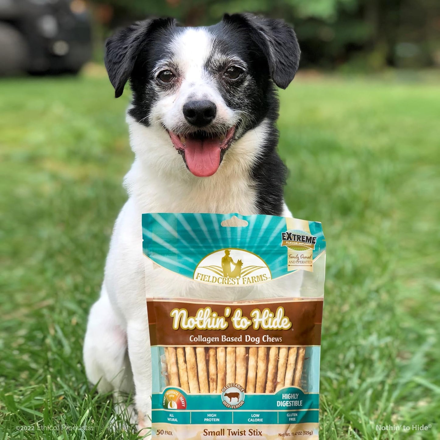 Healthy skin and coat support dog treats imported from the United States