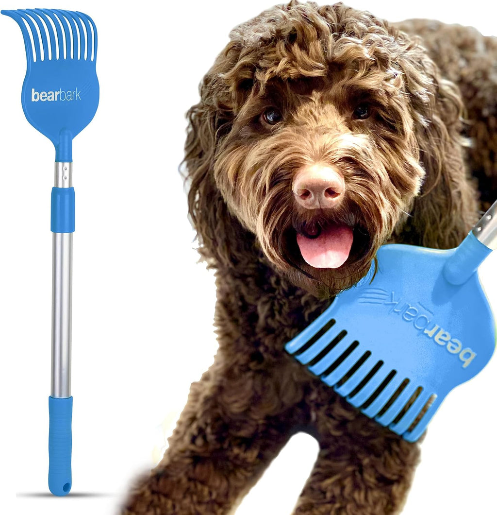 Bearback extendable dog scratcher front view showing the blue bristle head and extended silver aluminum handle for pet grooming.