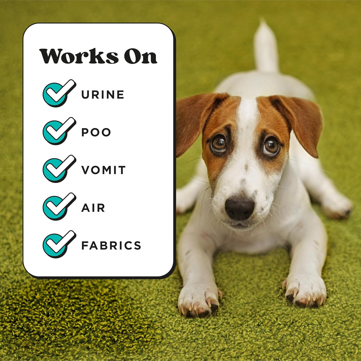 Poo-Pourri pet home freshening spray for carpets and cat litter boxes