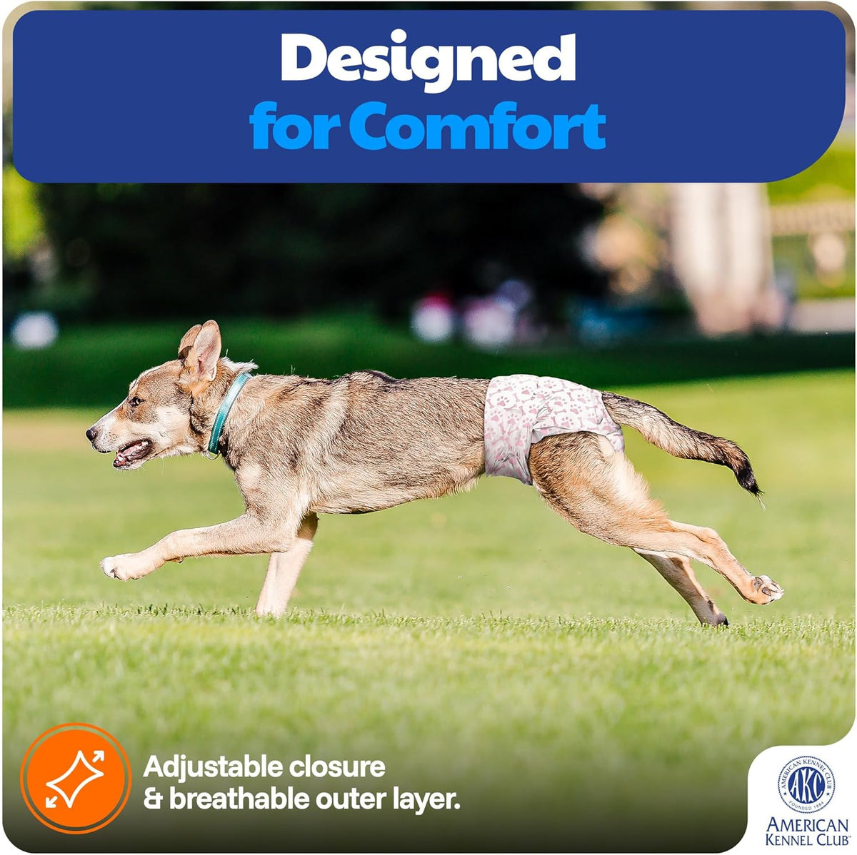 Back view of the American Kennel Club female dog diaper featuring the tailored tail hole