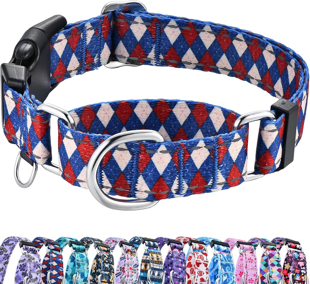 Reflective Martingale Collar for Dogs with Quick Release Buckle No Pull Training Dog Collars (Colorful Geometric, Medium) - Image 13