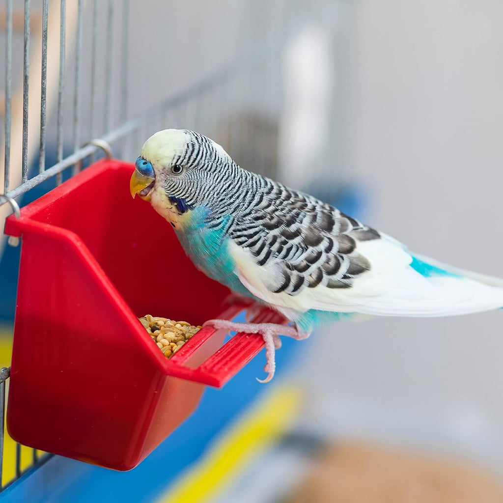 Bird eating Wild Harvest Healthy Benefits Molting Supplement