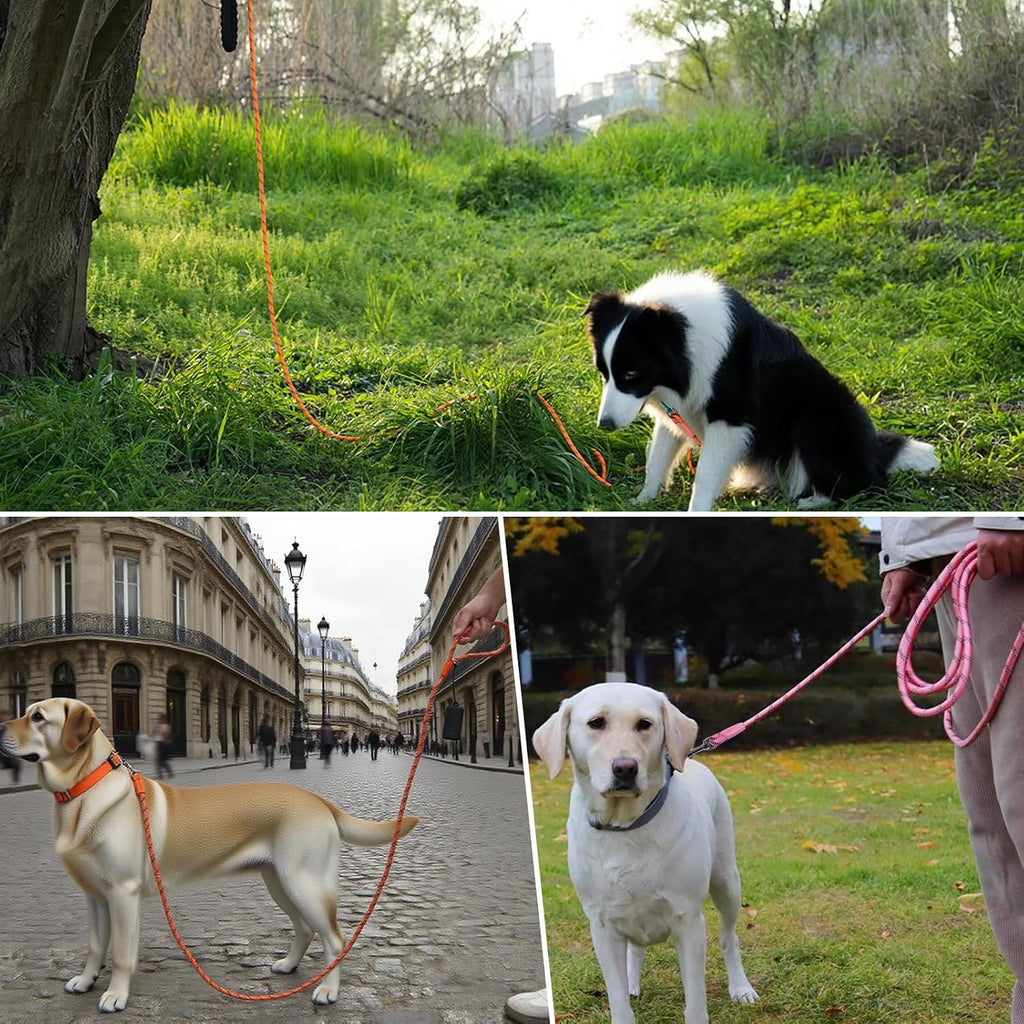 Heavy duty dog check cord for camping and outdoor hiking