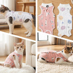 Side profile of kitten in medium recovery suit alternative to E-collar