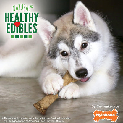 Nylabone DHA enriched puppy treats side view