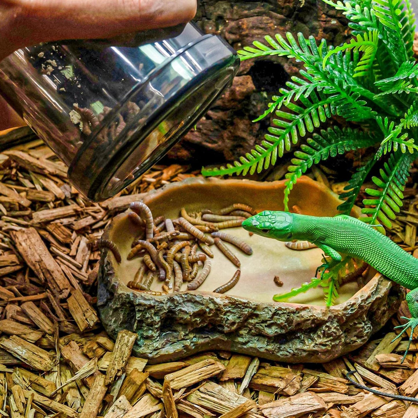 Reptile cricket keeper with secure twist lock lid