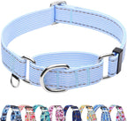 Fidohug yellow flower collar on a medium dog