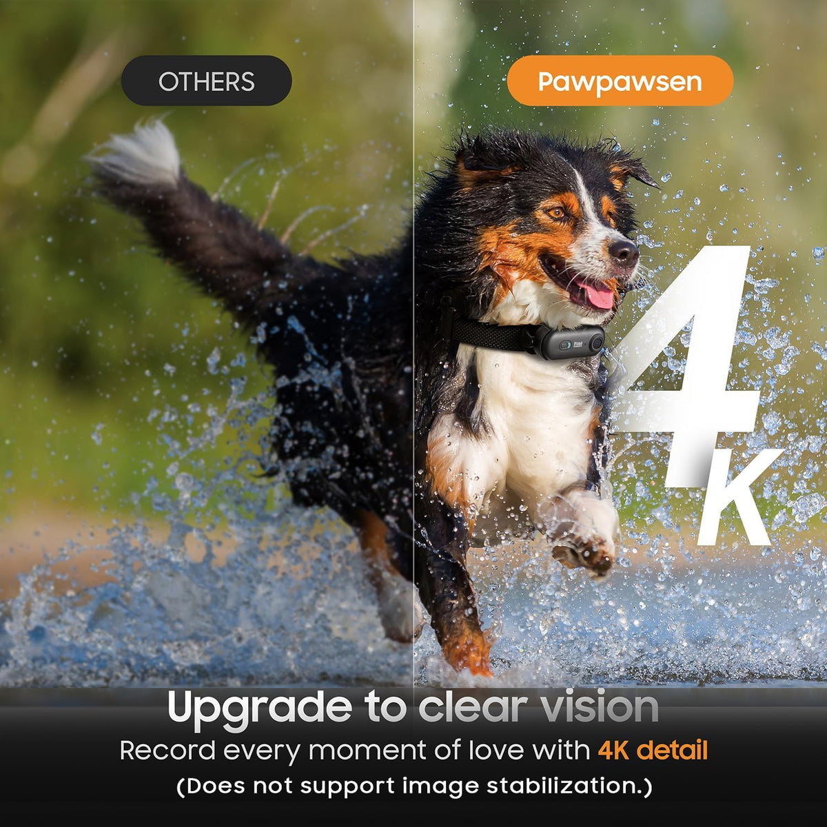 Pawpawsen pet action camera mounted on pink silicone collar
