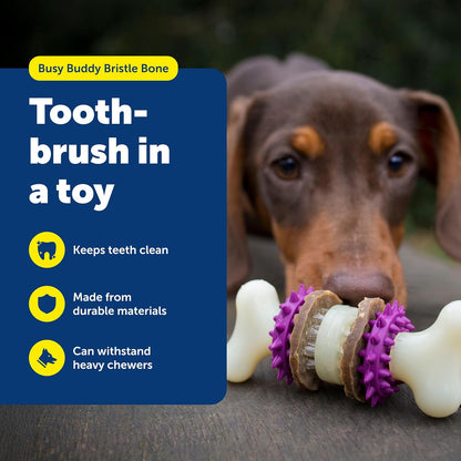 Interactive toothbrush dog toy in purple holding treat refills.
