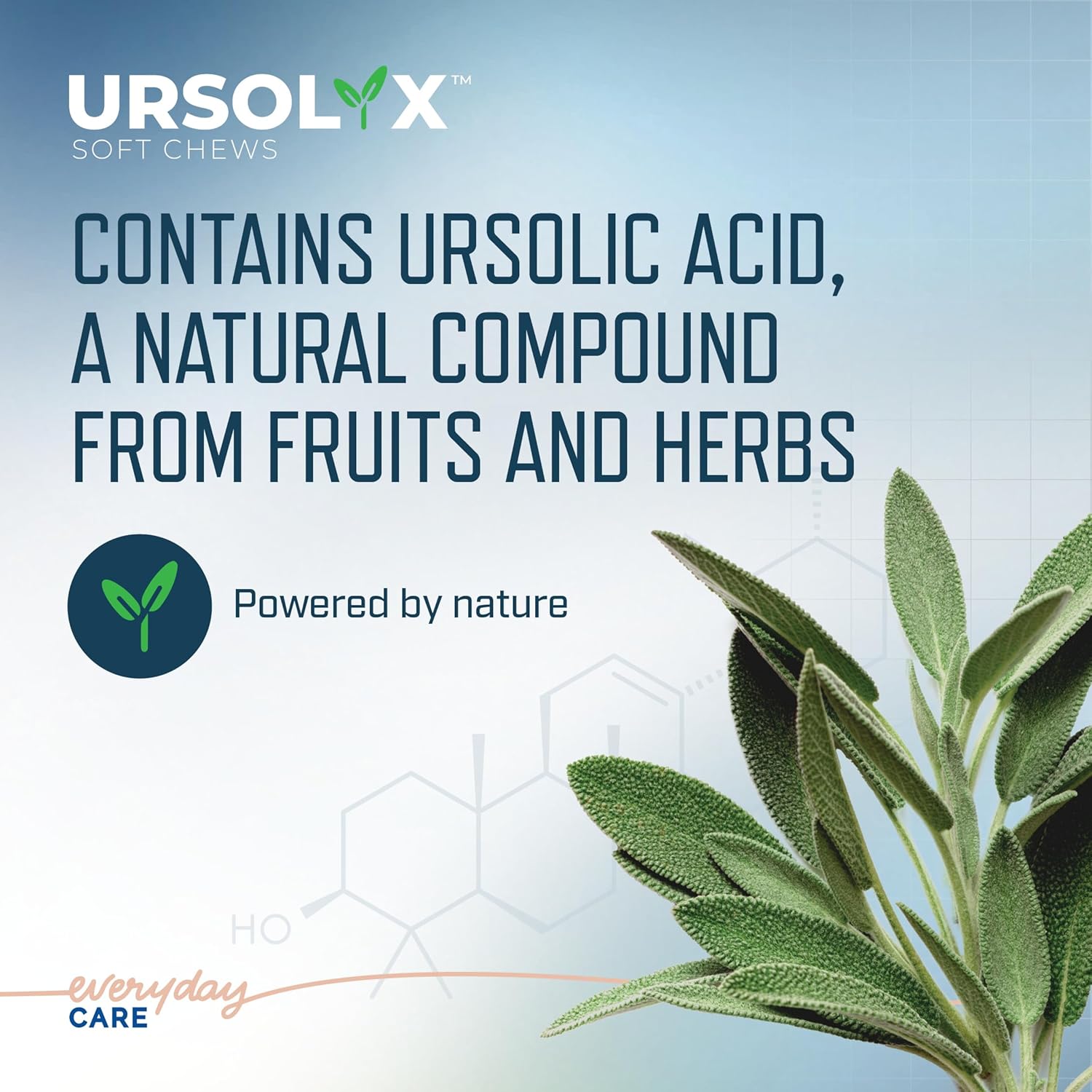 Side profile of Ursolyx soft chew container