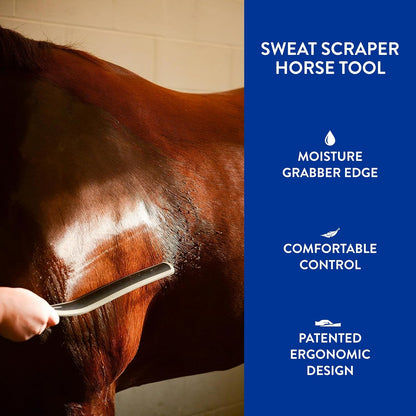 Wahl animal grooming scraper tool for removing horse sweat and water