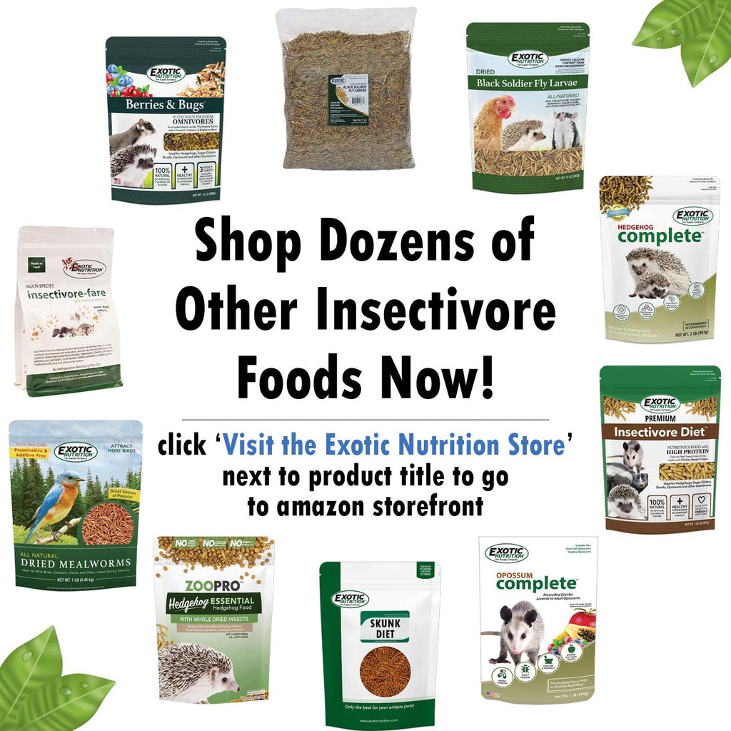Exotic Nutrition Berries And Bugs insectivore diet texture close up