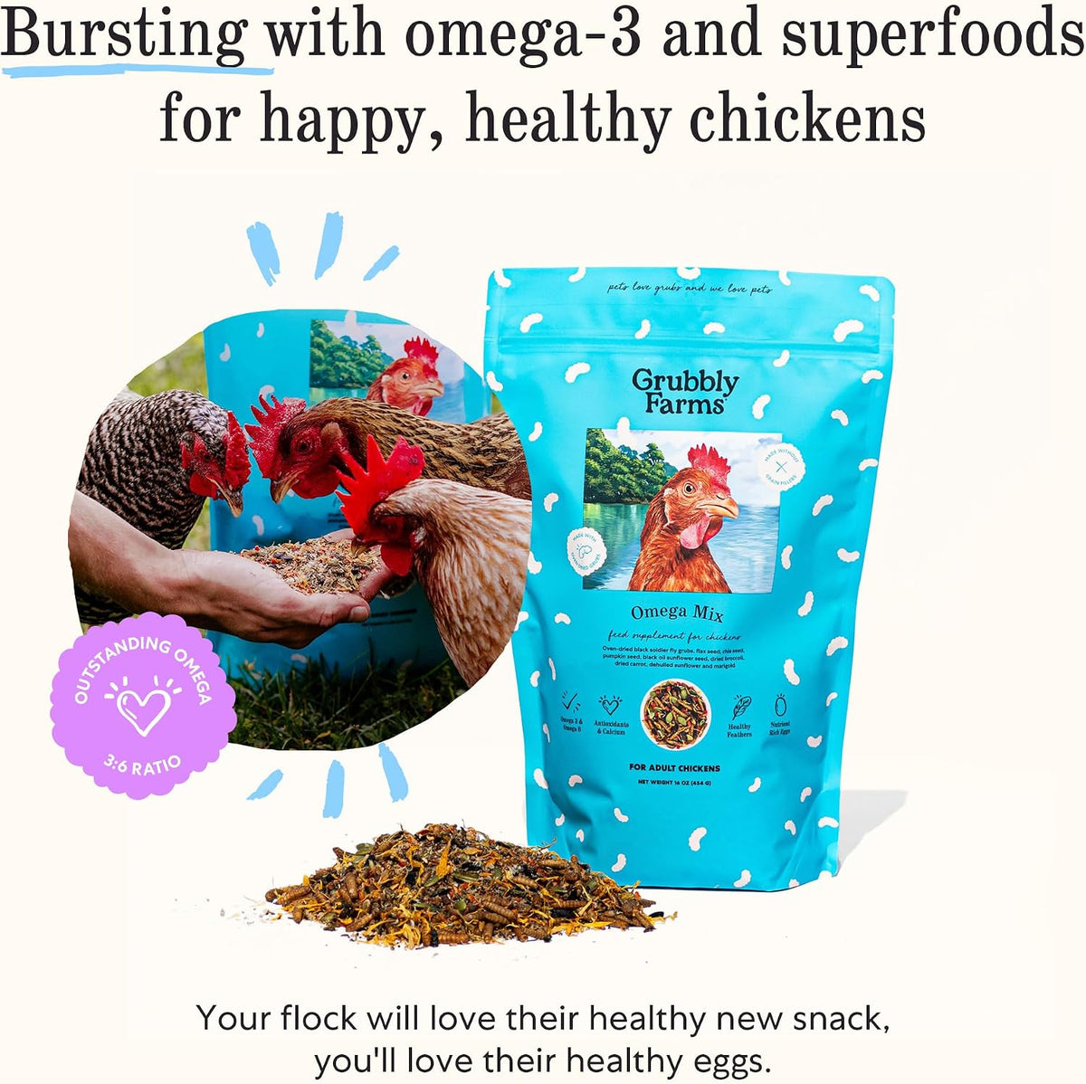 Close-up view of the black soldier fly grubs and superfood seed blend
