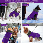 Doglay high-visibility reflective dog coat in low light
