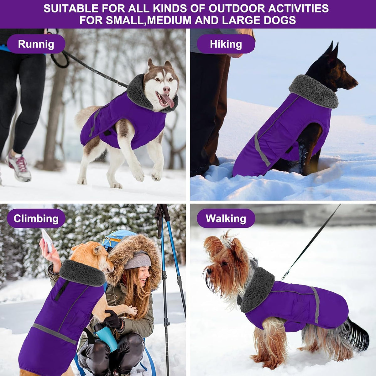 Doglay high-visibility reflective dog coat in low light