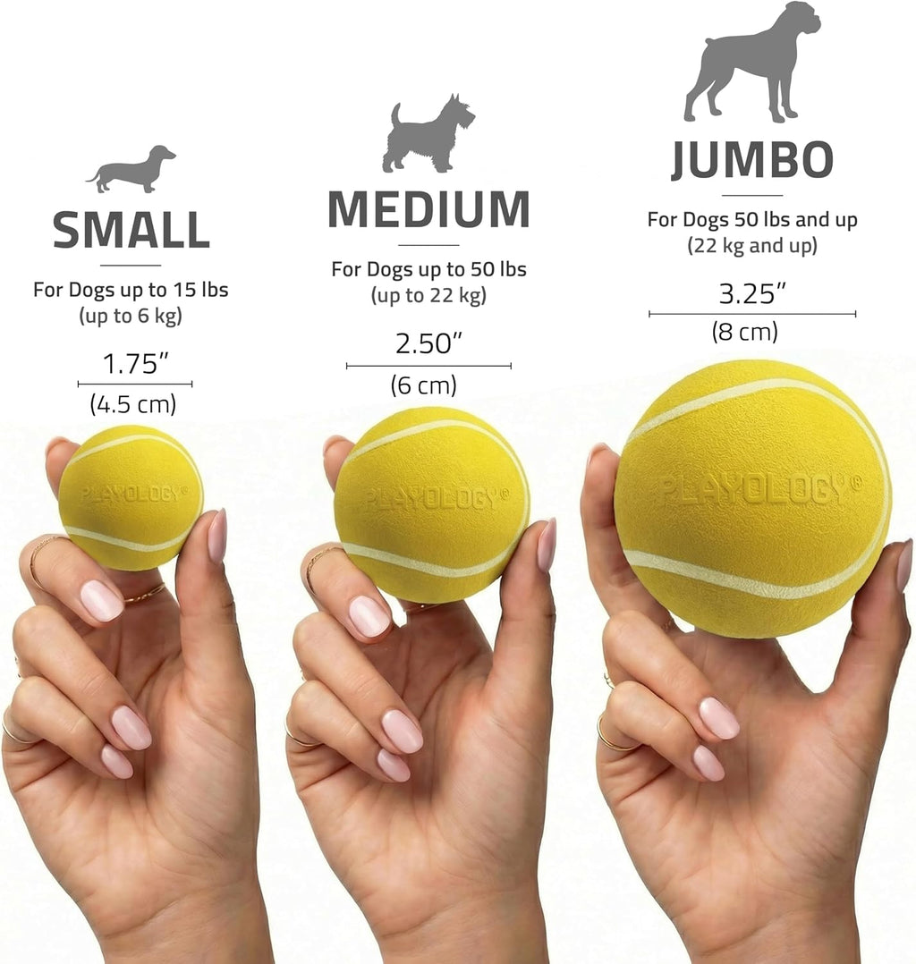 Dog playing with Playology chicken scented ball on grass
