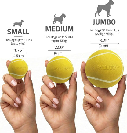 Dog playing with Playology chicken scented ball on grass