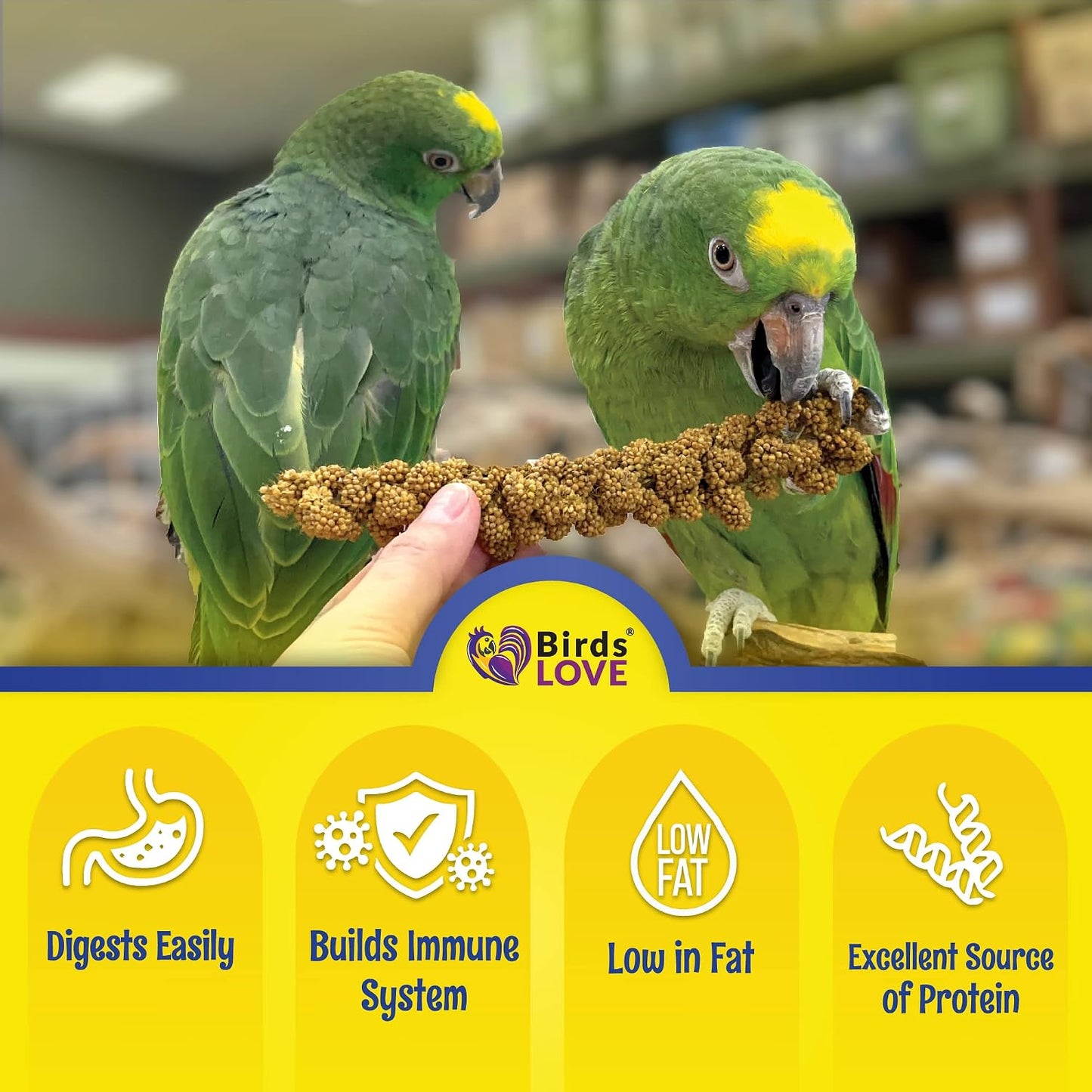 Birds LOVE GMO-free spray millet for parakeets and cockatiels