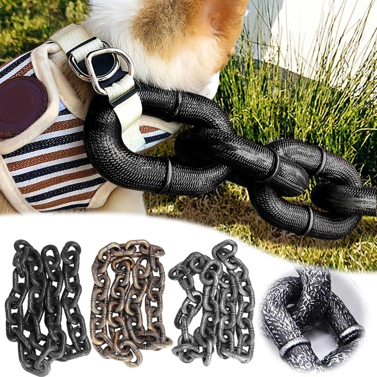 Funny big chain dog leash worn by a small puppy