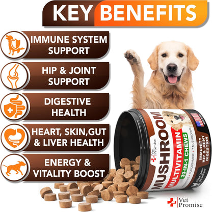 Vet Promise dog supplement tub showing mushroom and probiotic benefits