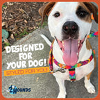 2 Hounds Design Freedom No Pull Dog Harness stainless steel hardware details