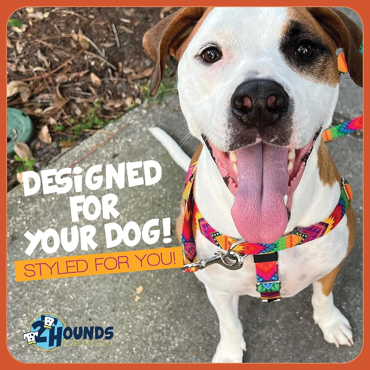 2 Hounds Design Freedom No Pull Dog Harness stainless steel hardware details