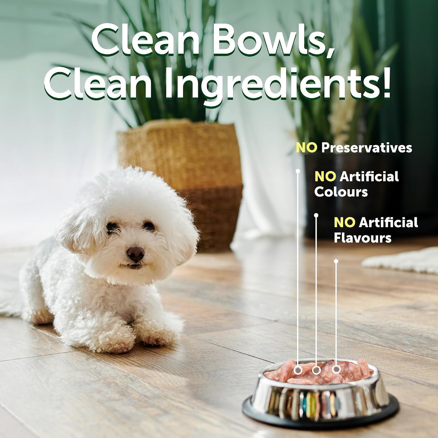 Texture of Nature's Protection grain free dog food topper gravy close up