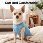 Top view of three colored lightweight dog shirts for medium dogs