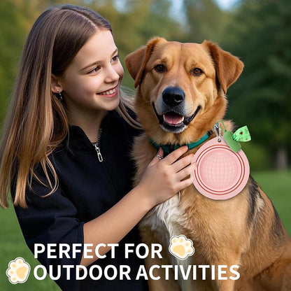 Portable silicone pet bowls expanded with water and food for outdoor hiking