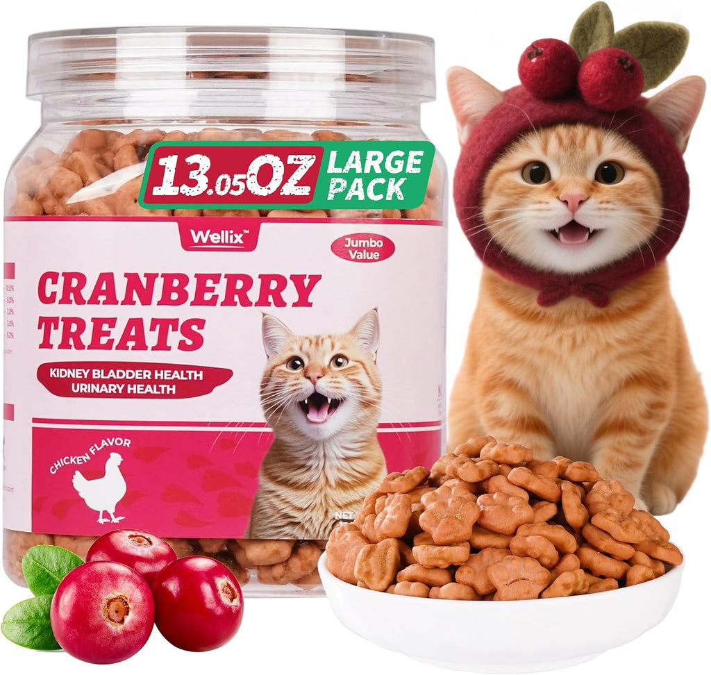 Wellix Cat Grass Treats with Catnip & Salmon - Healthy Cat Treats for Indoor Cats - Hairball Control & Digestive Support - Kittens Training Snacks for Teeth Cleaning 13.05oz - Image 10