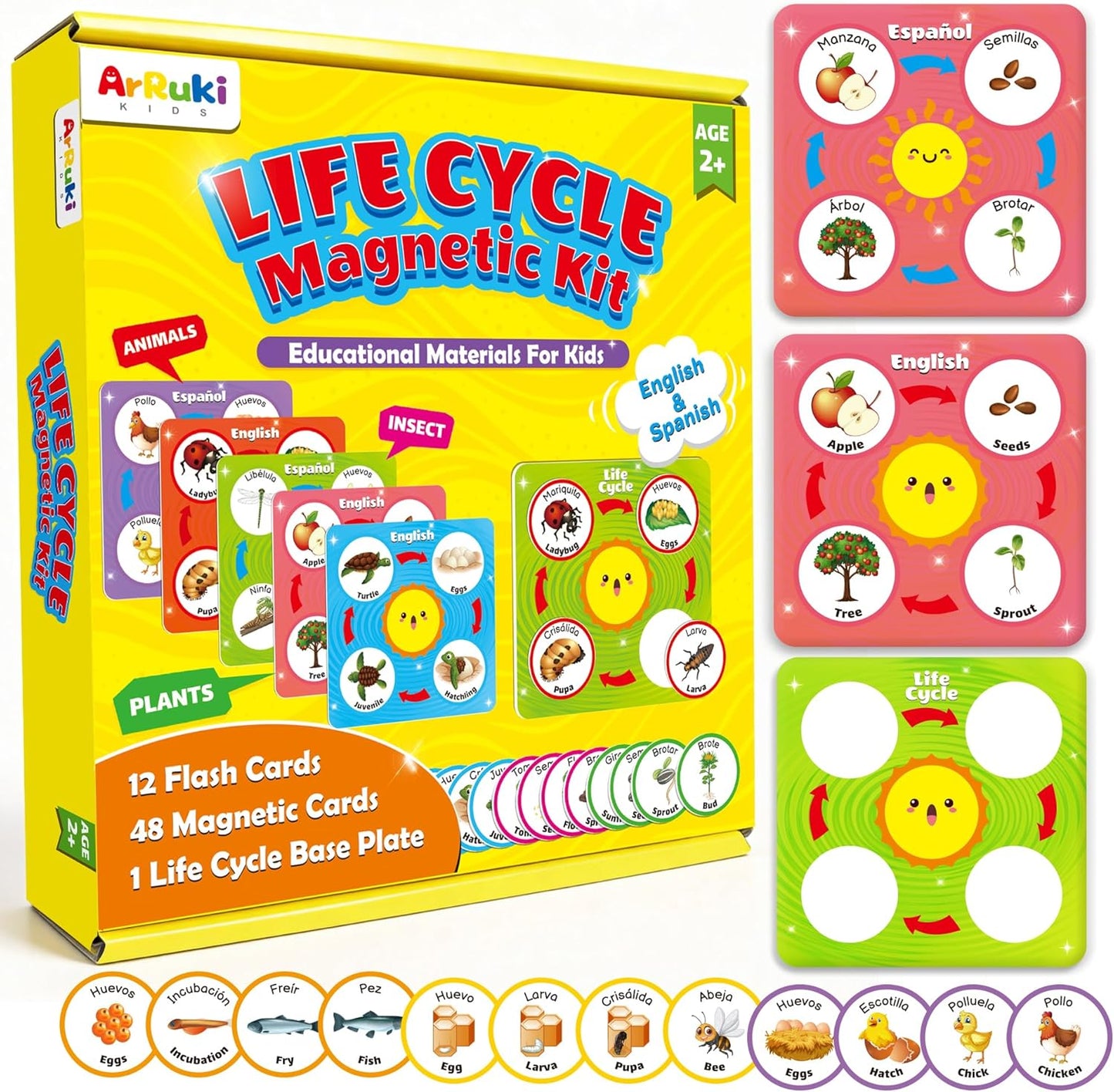 ArRuKi KIDS Magnetic Life Cycle Kit front view showing the educational tray and colorful bilingual cards.