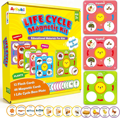 ArRuKi KIDS Magnetic Life Cycle Kit front view showing the educational tray and colorful bilingual cards.