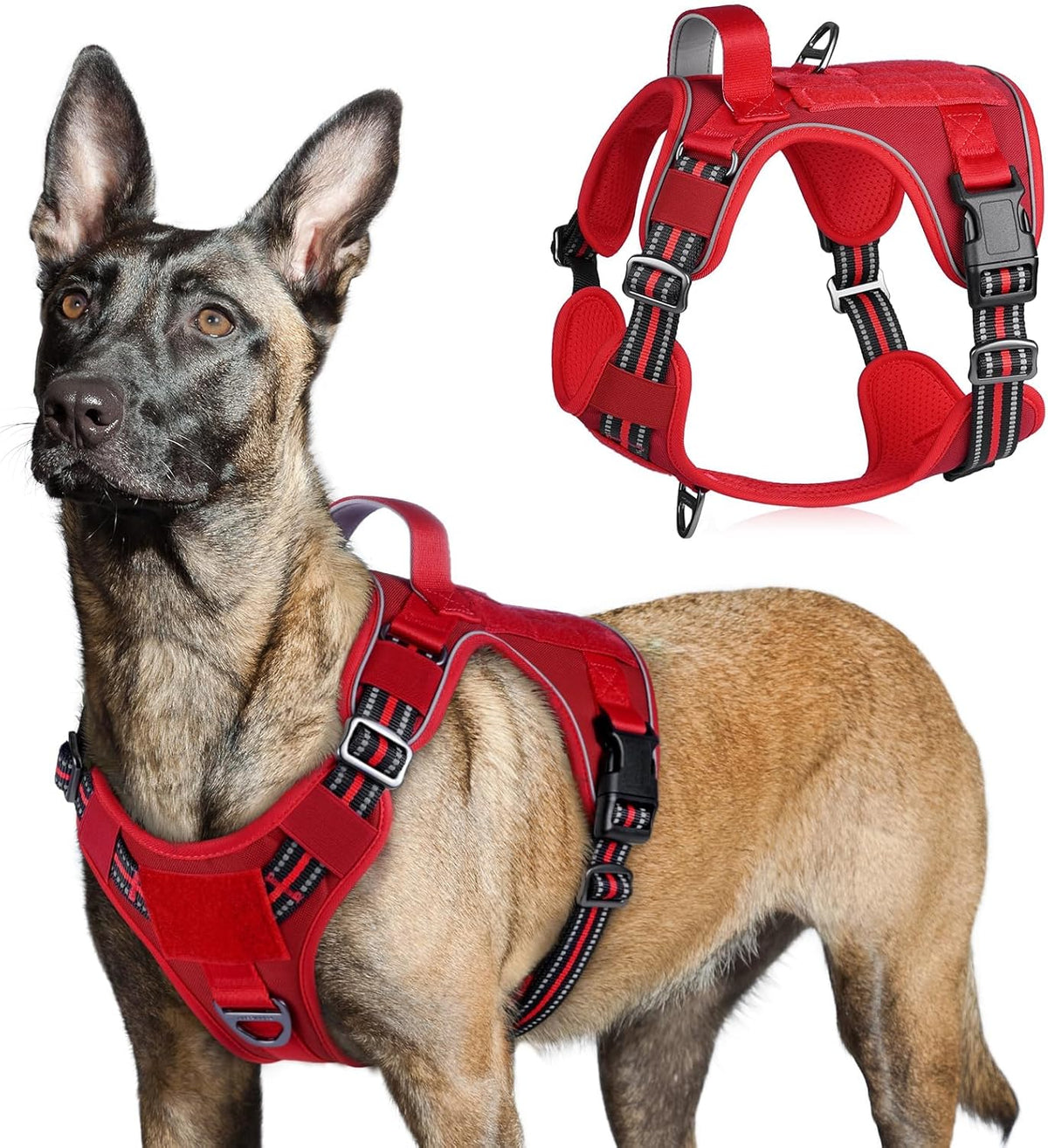 rabbitgoo Tactical Dog Harness for Large Dogs, No Pull Military Service Vest with Handle & Molle, Easy Control for Training Walking, Adjustable Reflective Straps, Black, L - Image 15