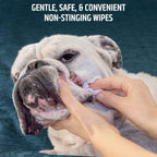 Pet MD antiseptic wipes for dogs and cats container