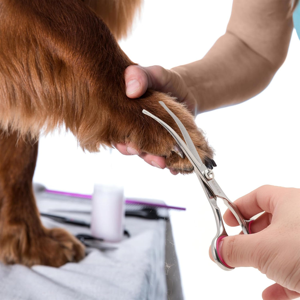 Full packaging view of the four in one professional dog and cat grooming set